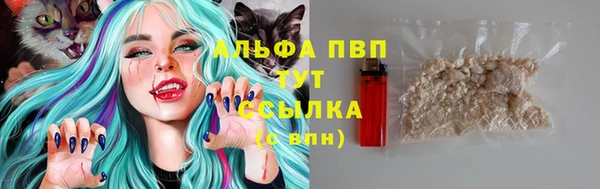 apvp Ельня