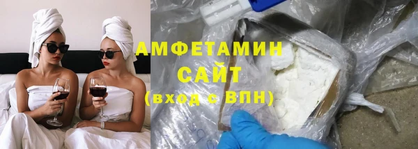 индика Дмитриев