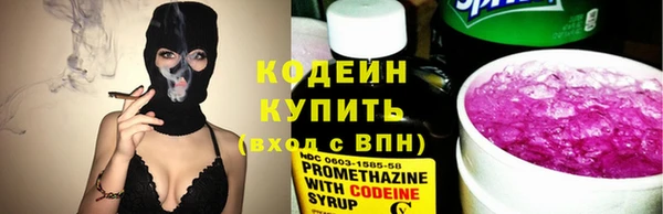 индика Дмитриев