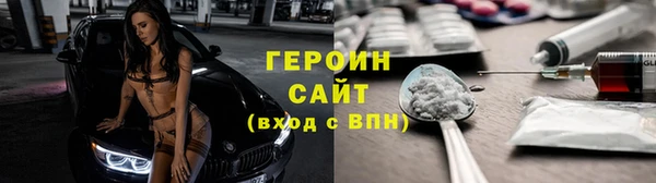 индика Дмитриев