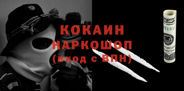 тгк Дмитров