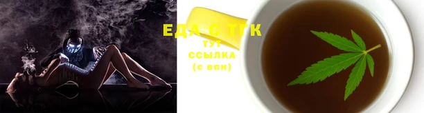тгк Дмитров