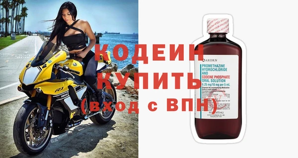 индика Дмитриев