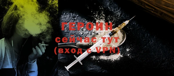 индика Дмитриев