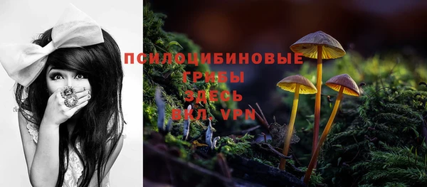 не бодяженный Дмитровск