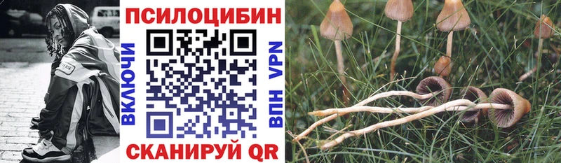 Купить Козьмодемьянск Галлюциногенные грибы ЛСД